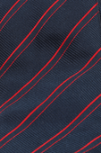 תמונת תקריב של Stripes Silk Tie in Blue and Red