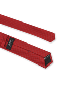 תמונה אחורית של Silk Tie in Red