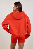 תמונת דוגמן אחורית של W Steady State Oversized Hoodie