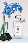 תמונת תקריב של Wild Bluebell Cologne 100 ML