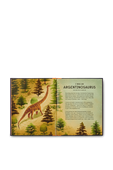 Book of Dinosaurs