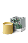 תמונה אחורית של LOEWE Honeysuckle Large Scented Candle
