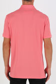 תמונת דוגמן אחורית של Slim Fit Polo Shirt In Pink