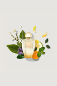 תמונה אחורית של Creed Aqua Original Zeste Mandarin 100 ml