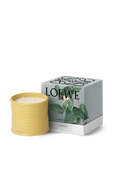 תמונה אחורית של LOEWE Honeysuckle Medium Scented Candle