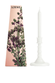 תמונה אחורית של LOEWE Oregano Wax Candleholder