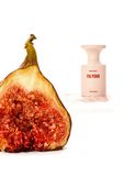 תמונה אחורית של FIG PORN 50ml Eau de Parfum