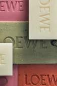 תמונת פנים של Loewe Oregano Scented Soap Pack