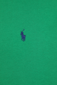 סווטשירט קפוצ'ון עם לוגו רקום בגוון ירוק POLO RALPH LAUREN