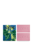 תמונה אחורית של Loewe Ivy Scented Soap Pack