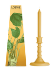 תמונה אחורית של LOEWE Wasabi Wax Candleholder