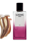 תמונת תקריב של LOEWE Earth Elixir 100ml