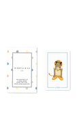 חפיסת קלפים סנאפ-גיים יוגה יוניסקס MINDFUL & CO KIDS
