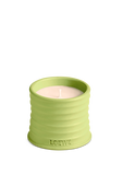 תמונה קידמית של LOEWE Cucumber Small Scented Candle