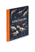 תמונה קידמית של Book of Dinosaurs