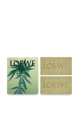 תמונה אחורית של Loewe Marihuana Scented Soap Pack