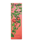 תמונה אחורית של Loewe Tomato Incense Sticks Refill – 22 sticks
