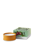 תמונה אחורית של Loewe Ginger Outdoor Scented Candle