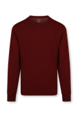 תמונה קידמית של Long Sleeve T-Shirt In Cranberry