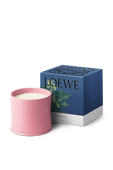 תמונה אחורית של Ivy Large Scented Candle 2120 gr