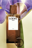 תמונת תקריב של LOEWE Solo Elixir Eau de Parfum 50 ml
