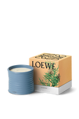 תמונה אחורית של LOEWE Cypress Medium Scented Candle