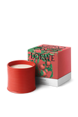 תמונה אחורית של LOEWE Tomato Leaves Large Scented Candle
