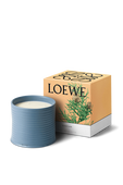 תמונה אחורית של LOEWE Cypress Large Scented Candle