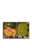 תמונת תקריב של Book of Dinosaurs