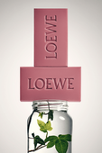 תמונת תקריב של Loewe Ivy Scented Soap Pack