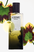 תמונת תקריב של LOEWE Esencia Elixir Eau de Parfum 50 ml