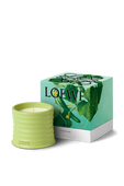 תמונה אחורית של LOEWE Cucumber Small Scented Candle