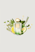 תמונה אחורית של Creed Aqua Original Green Neroli 100 ml