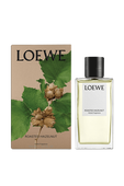 תמונה אחורית של LOEWE Roasted Hazelnut Home Fragrance