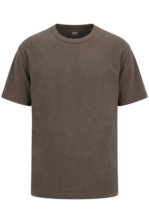 טי שירט אוברסייז LEVI`S