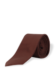 תמונה קידמית של Textured Silk Tie in Brown