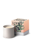 תמונה אחורית של LOEWE Oregano Large Scented Candle