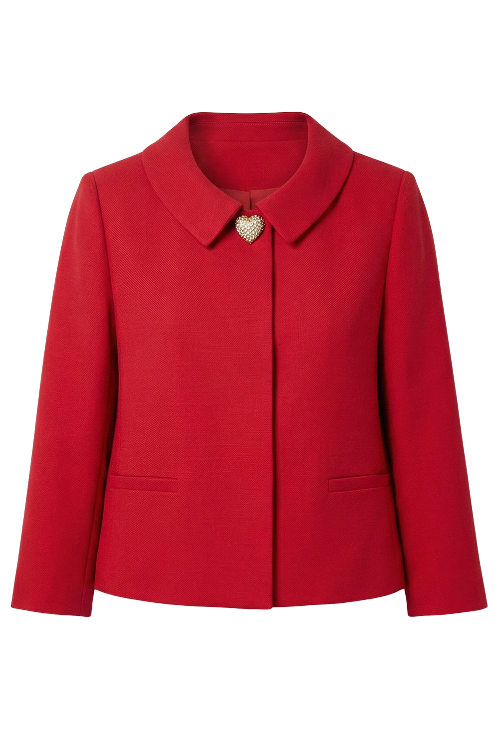 תמונה אחורית של ז'קט