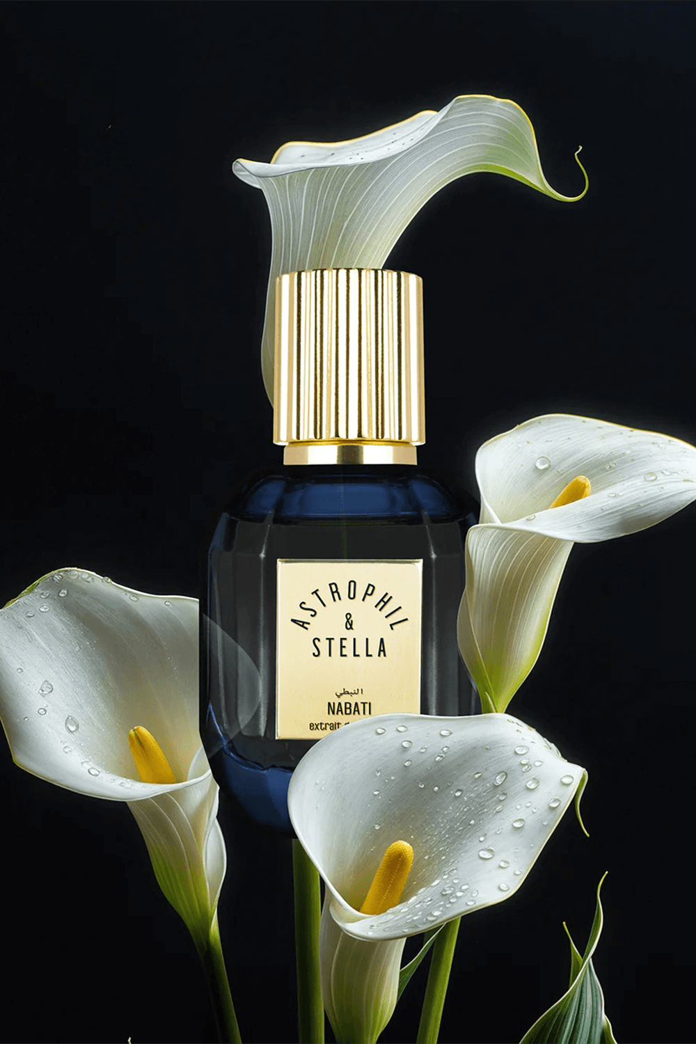 תמונה אחורית של Nabati Ex. Parfum 50 ml Astrophil X Stella