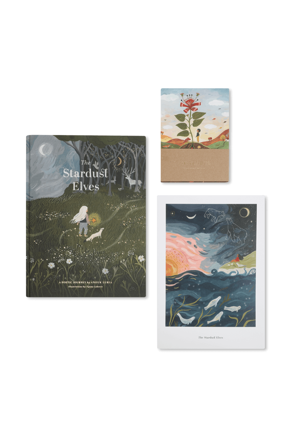 תמונה קידמית של ספר עם פוסטר וחמש גלויות שמי לילה