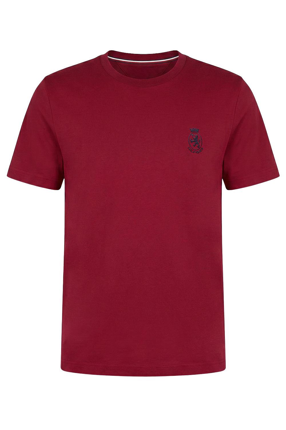 תמונה קידמית של חולצת טי