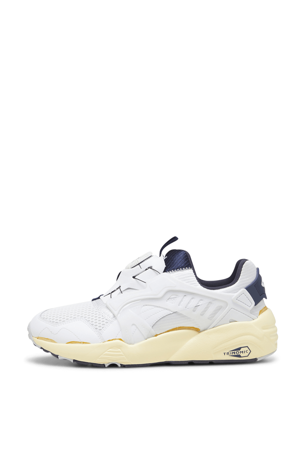 תמונת תקריב של נעלי סניקרס דיסק בלייז