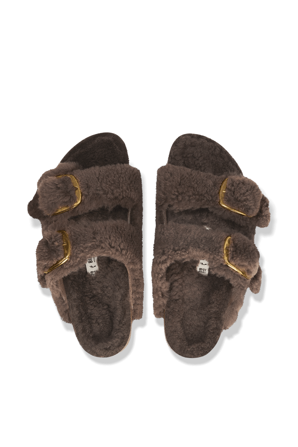 תמונת תקריב של סנדלי אריזונה טדי ביג באקל פרוותיים