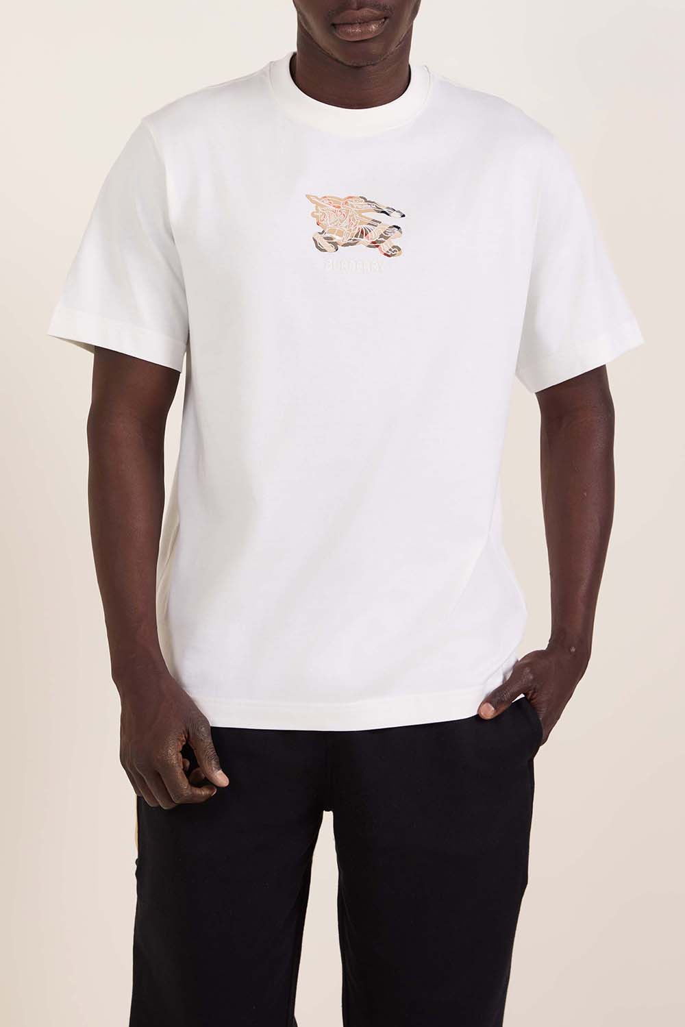 תמונת דוגמן קידמית של חולצת טי