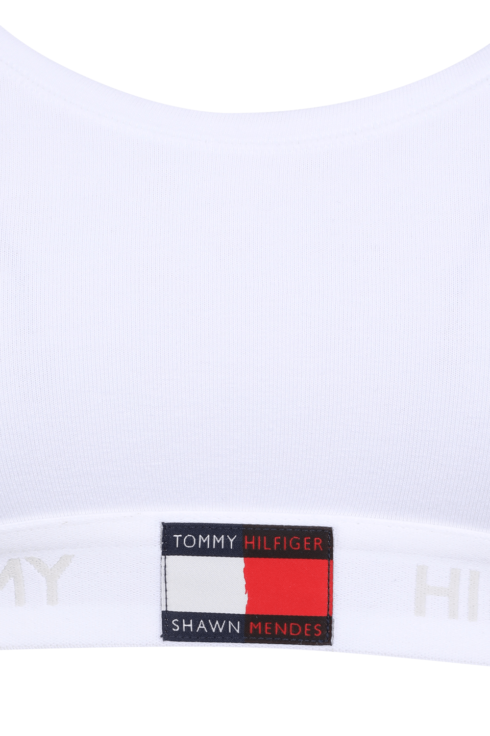 תמונה אחורית של טומי הילפיגר X שון מנדס חזיית טופ