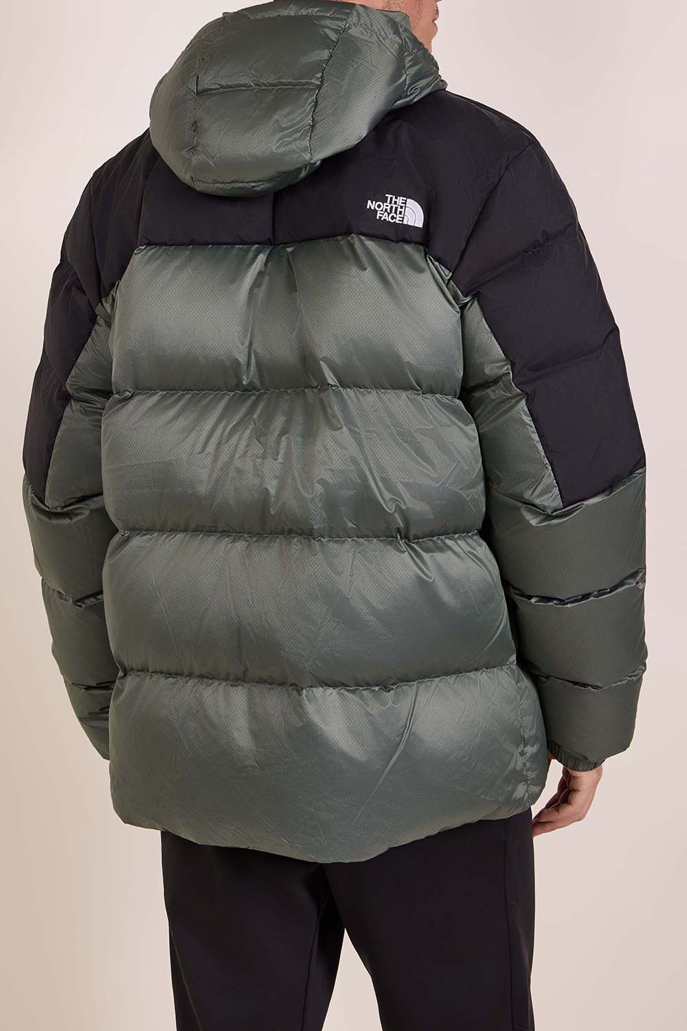 תמונת דוגמן אחורית של מעיל פוך