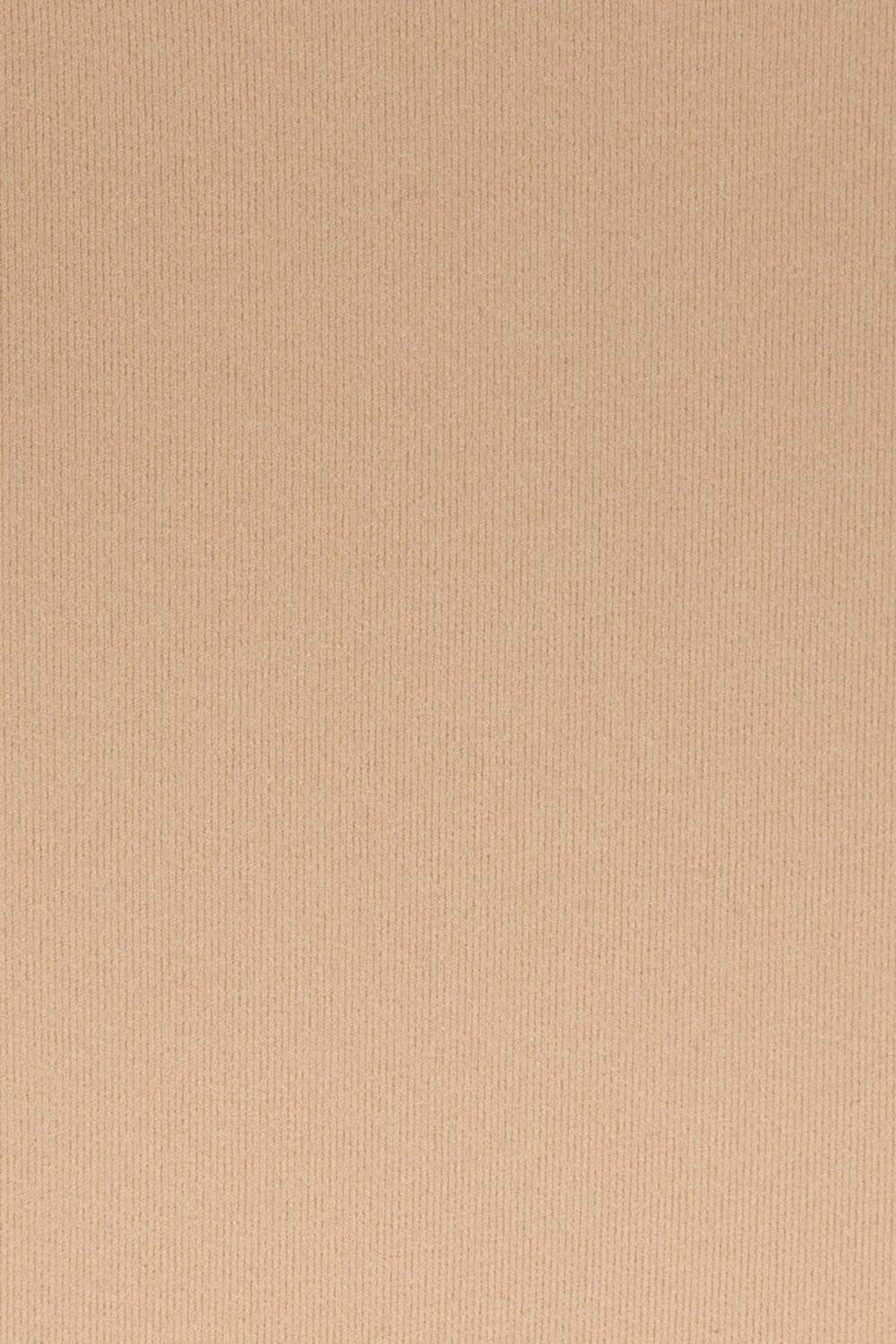 תמונת תקריב דוגמן של HIGH-WAISTED THONG