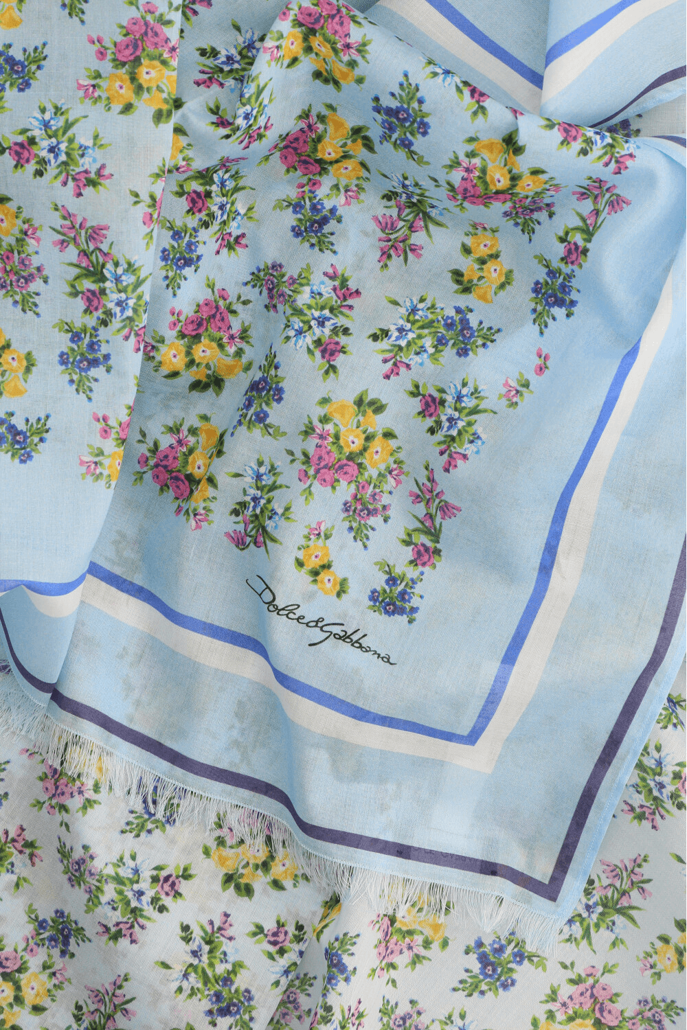 תמונה אחורית של פראו