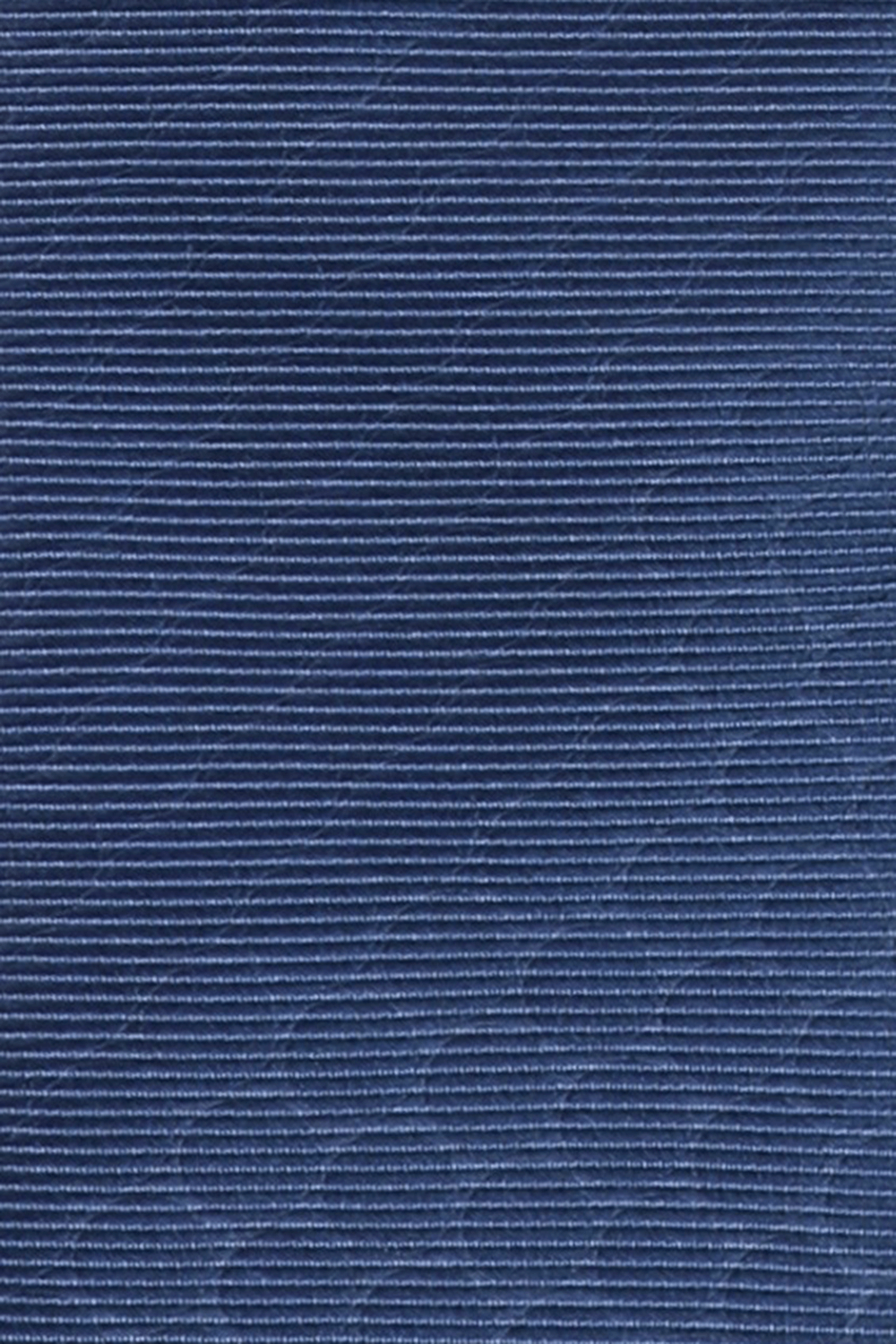 תמונת תקריב של Silk Tie in Blue