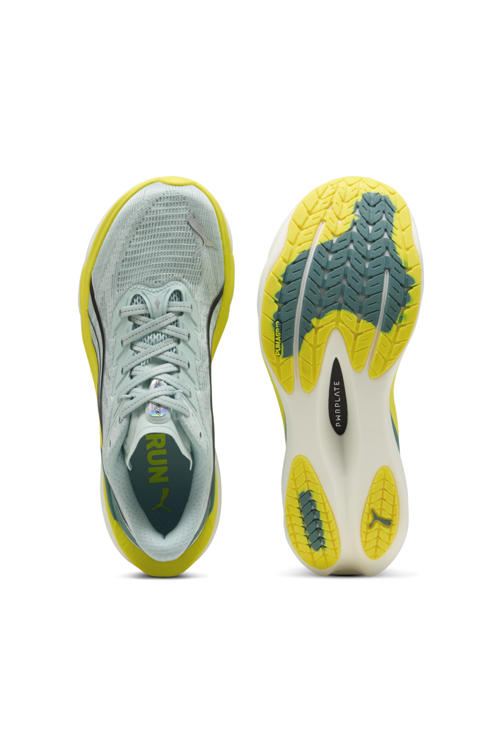 נעלי סניקרס